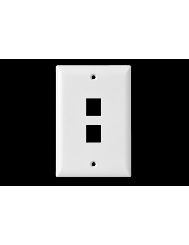 Wall Plate 2 Ports 110 Economico - Blanco
