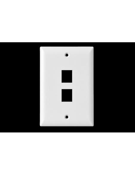 Wall Plate 2 Ports 110 Economico - Blanco